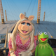 Illustration for article titled Well, now we know what happened to that other Disney+ Muppets show